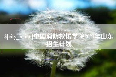 三亚中国消防救援学院2021年山东招生计划