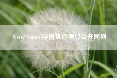 三亚中国执行信息公开网网