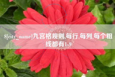 三亚九宫格规则,每行,每列,每个粗线都有1-9