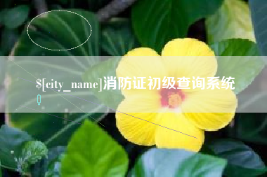 三亚消防证初级查询系统