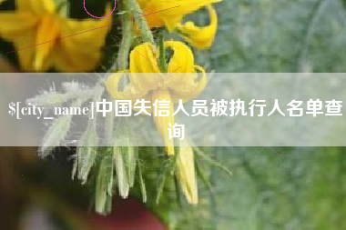 三亚中国失信人员被执行人名单查询