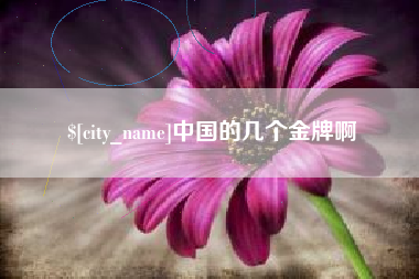 三亚中国的几个金牌啊