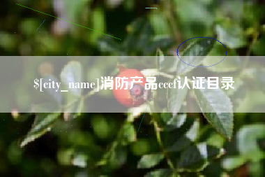 三亚消防产品cccf认证目录