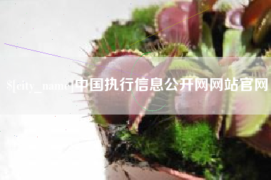 三亚中国执行信息公开网网站官网