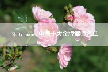 三亚中国十大金牌律师名单