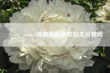 三亚河南消防学校招生分数线