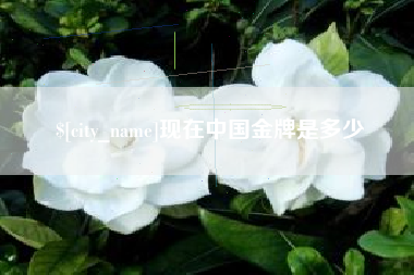 三亚现在中国金牌是多少