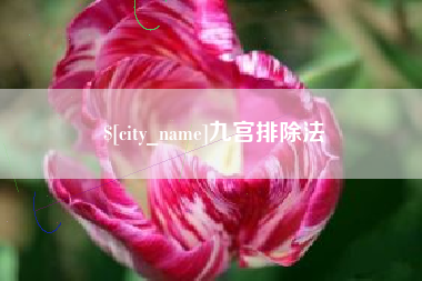 三亚九宫排除法