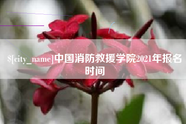 三亚中国消防救援学院2021年报名时间
