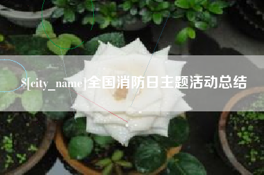 三亚全国消防日主题活动总结