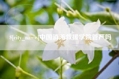 三亚中国消防救援学院管严吗