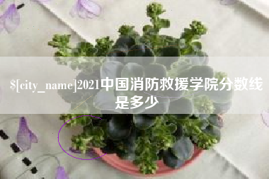 三亚2021中国消防救援学院分数线是多少