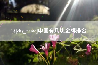 三亚中国有几块金牌排名