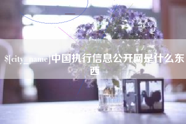 三亚中国执行信息公开网是什么东西