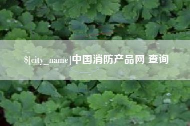 三亚中国消防产品网 查询
