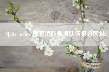 三亚国家消防救援队伍报名网址