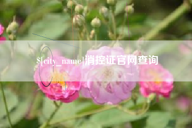 三亚消控证官网查询