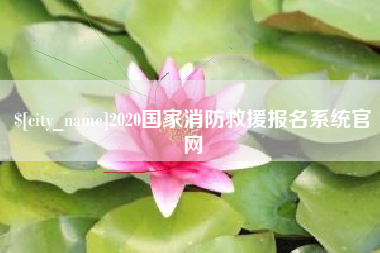 三亚2020国家消防救援报名系统官网