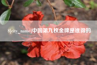 三亚中国第九枚金牌是谁得的