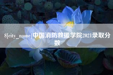 三亚中国消防救援学院2021录取分数