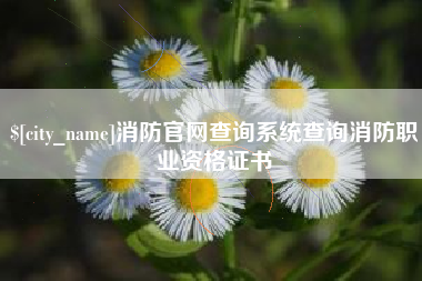 三亚消防官网查询系统查询消防职业资格证书