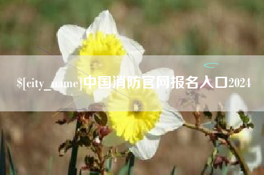 三亚中国消防官网报名入口2024