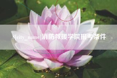 三亚消防救援学院报考条件