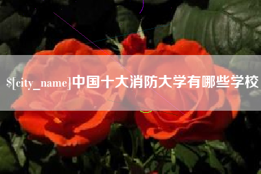 三亚中国十大消防大学有哪些学校