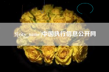 三亚中国执行信息公开网
