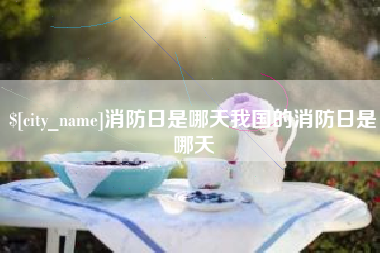 三亚消防日是哪天我国的消防日是哪天
