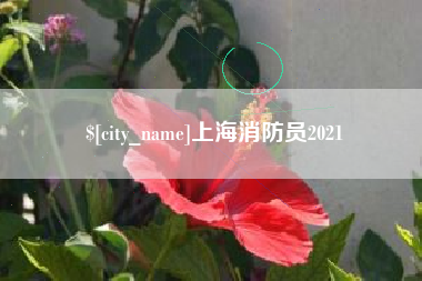 三亚上海消防员2021