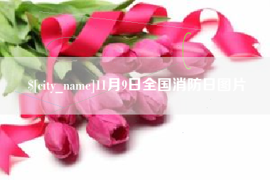 三亚11月9日全国消防日图片
