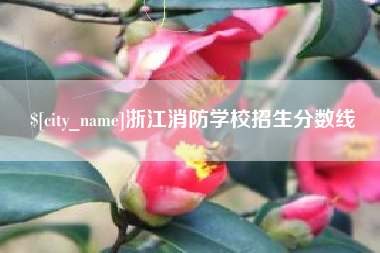 三亚浙江消防学校招生分数线