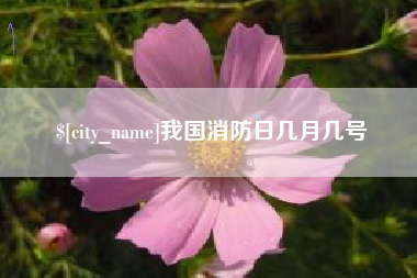 三亚我国消防日几月几号