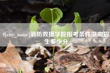 三亚消防救援学院报考条件湖南招生多少分