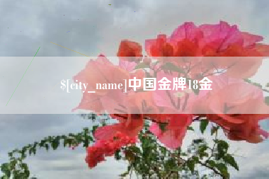 三亚中国金牌18金