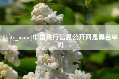 三亚中国执行信息公开网是黑名单吗