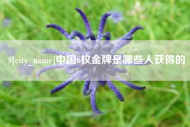 三亚中国6枚金牌是哪些人获得的