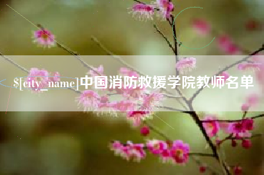 三亚中国消防救援学院教师名单