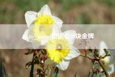 三亚奥运会39块金牌