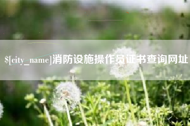 三亚消防设施操作员证书查询网址