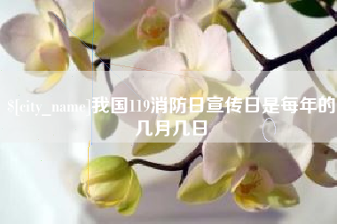 三亚我国119消防日宣传日是每年的几月几日
