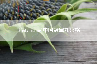 三亚中国冠军九宫格