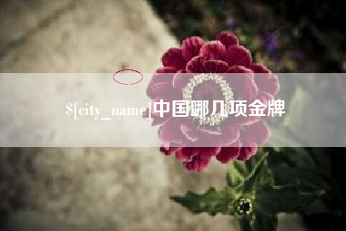 三亚中国哪几项金牌