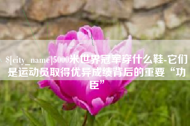 三亚5000米世界冠军穿什么鞋-它们是运动员取得优异成绩背后的重要“功臣”