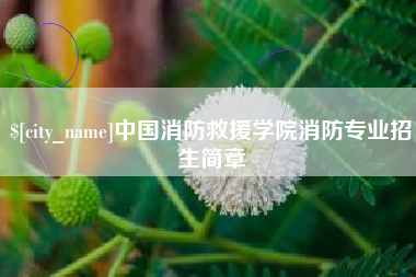 三亚中国消防救援学院消防专业招生简章