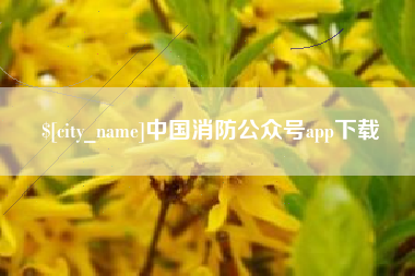 三亚中国消防公众号app下载