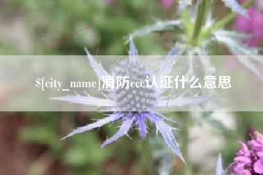 三亚消防ccc认证什么意思