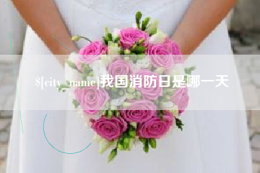 三亚我国消防日是哪一天