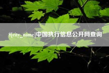 三亚中国执行信息公开网查询